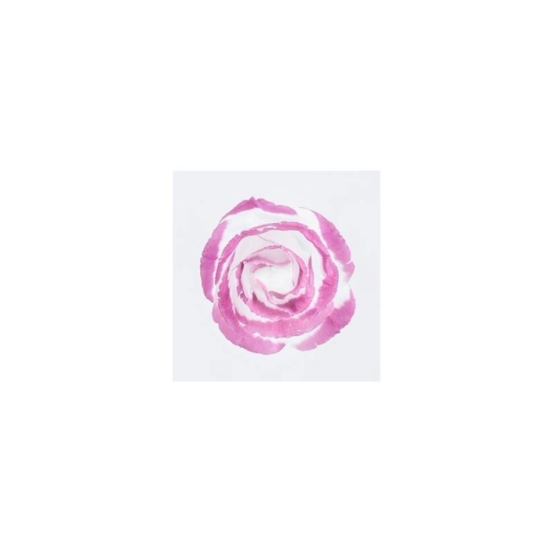 Damaskinių rožių hidrolatas, 100ml/200ml/1000ml
