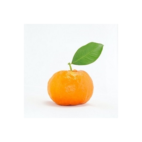 Mandarinų eterinis aliejus, 10ml