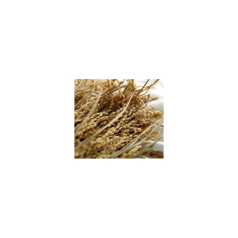 Ryžių sėlenų aliejus (kosmetinis), 100ml